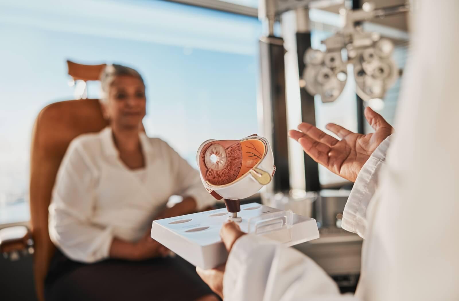 An optometrist explains how diabetes can affect vision and eye health using an anatomical model.